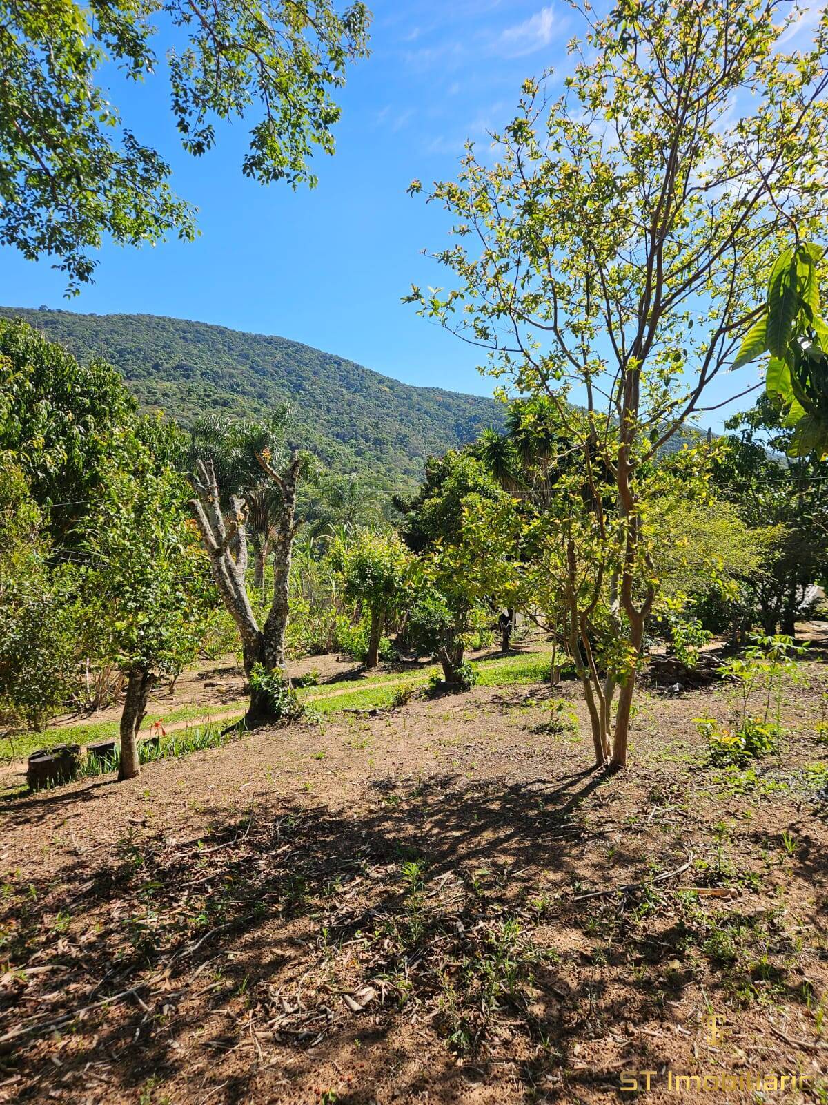 Chácara, 2 quartos, 2500 m² - Foto 25