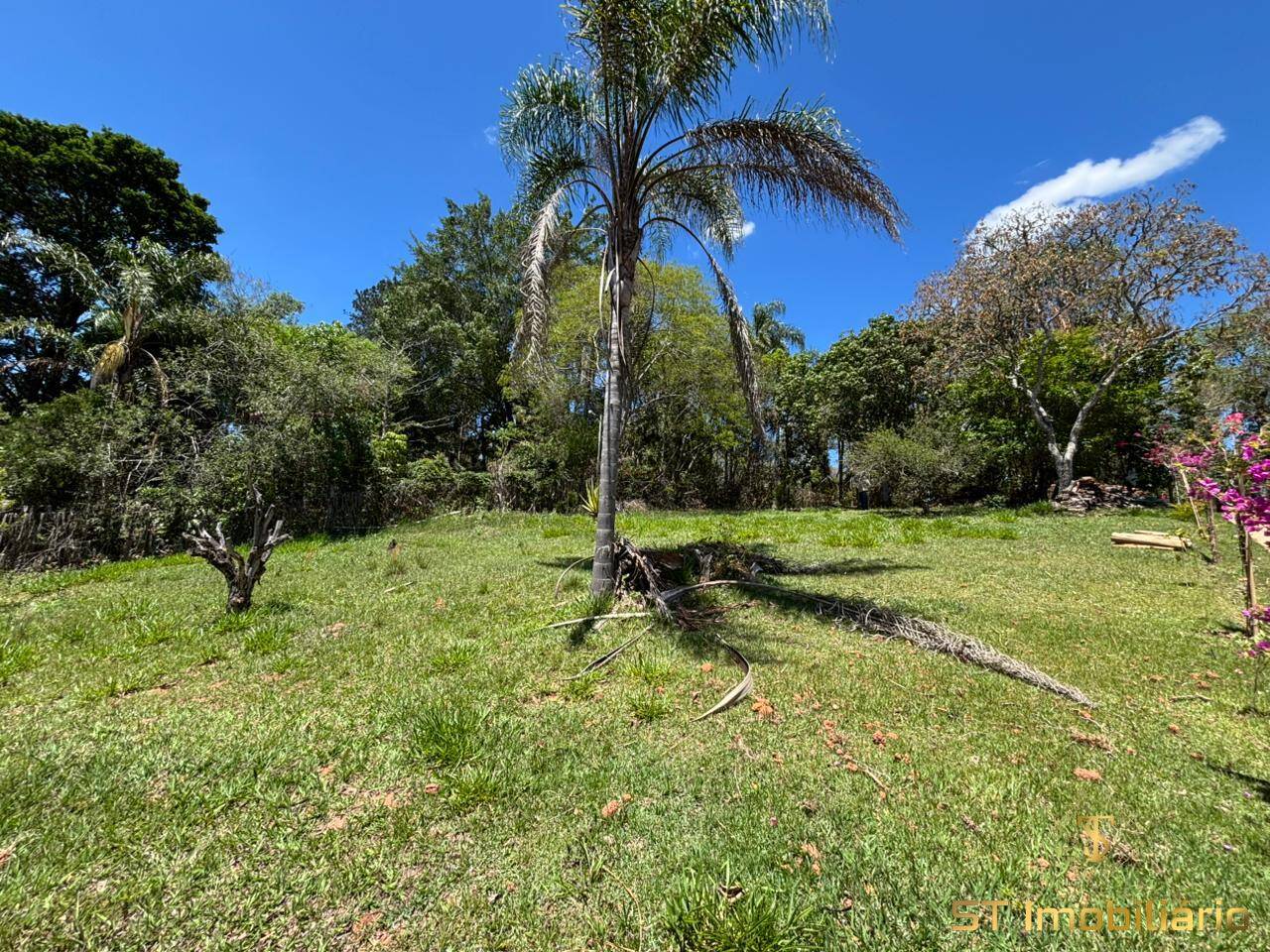 Terreno, 1000 m² - Foto 8