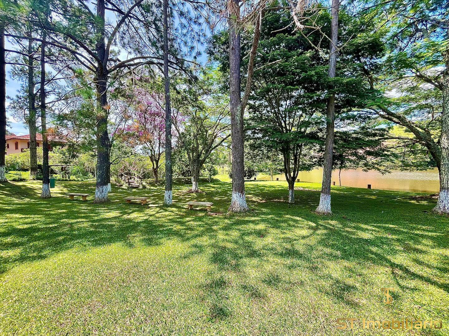 Terreno, 1000 m² - Foto 8