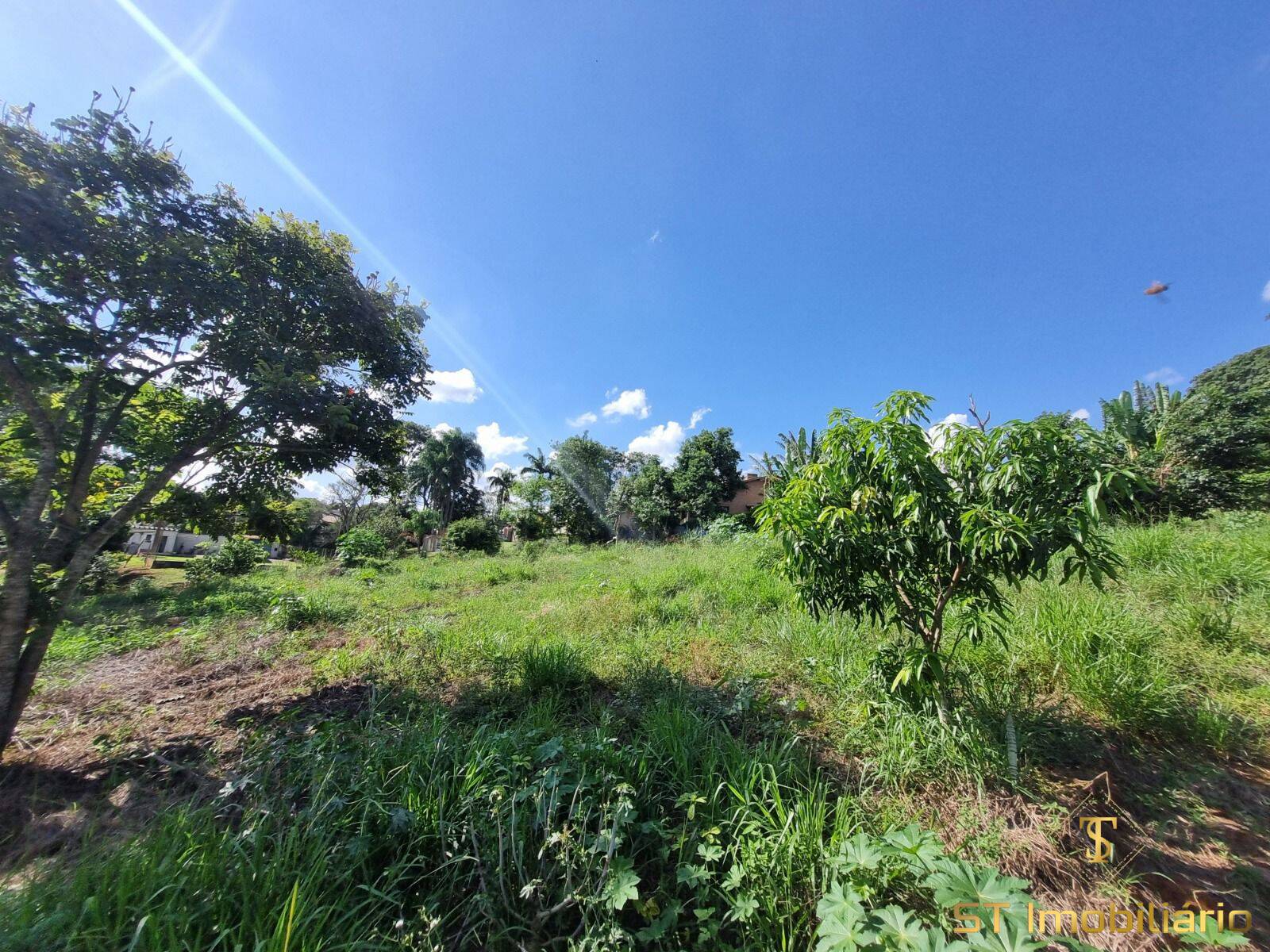 Terreno, 1000 m² - Foto 1