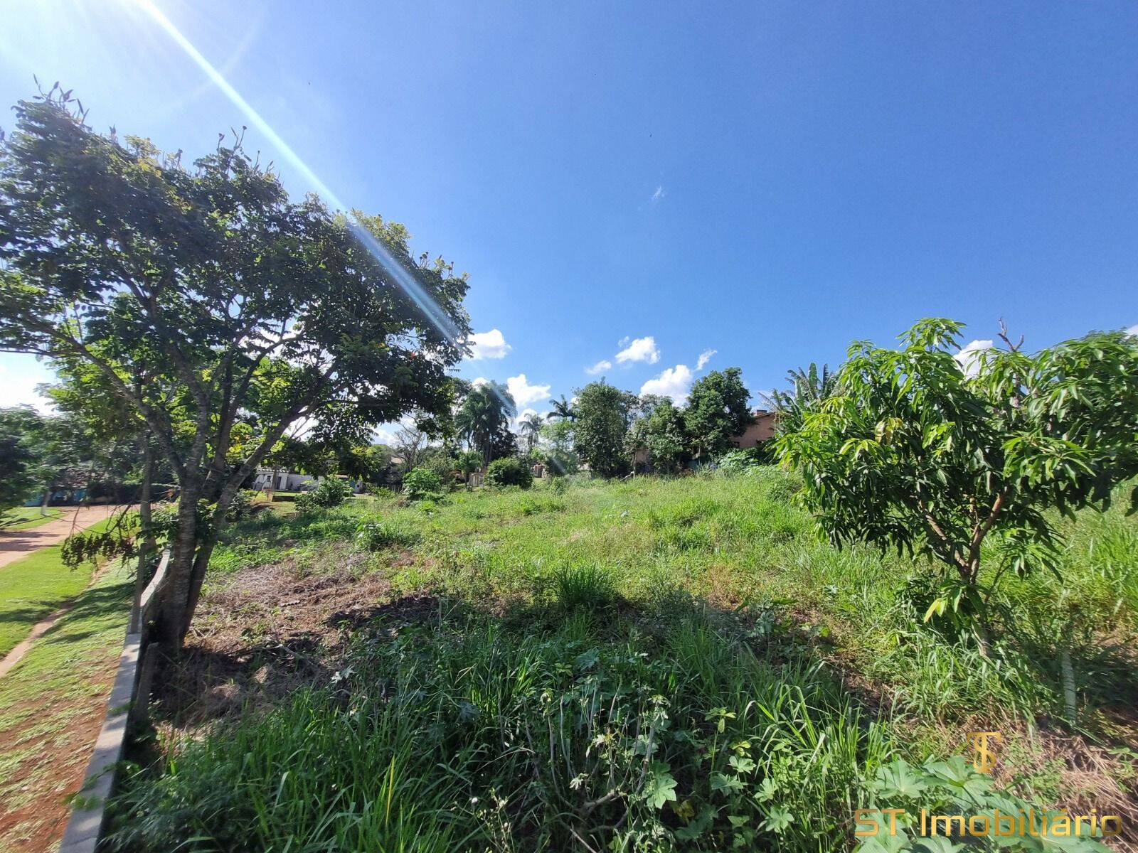 Terreno, 1000 m² - Foto 4