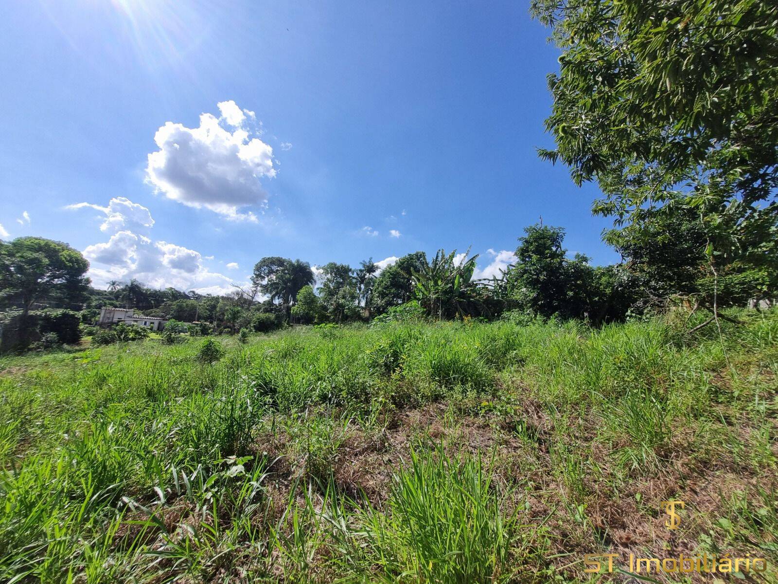 Terreno, 1000 m² - Foto 7