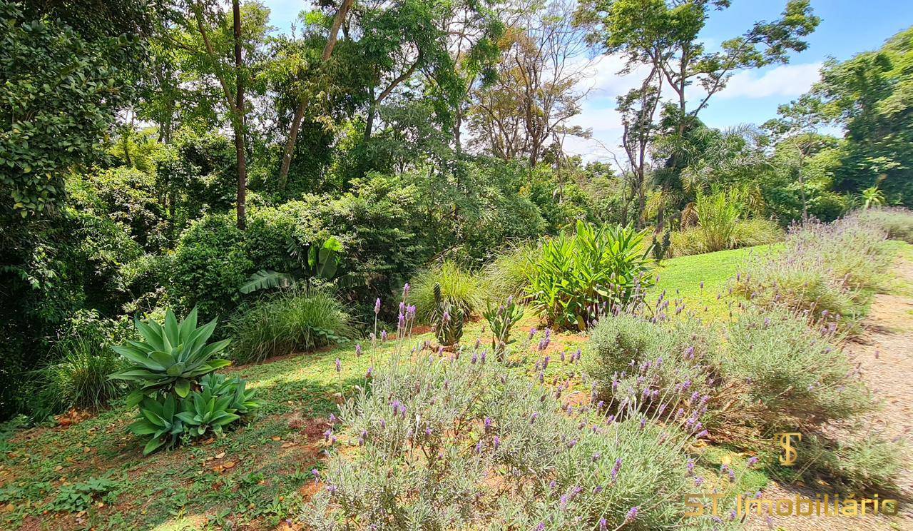 Chácara, 3 quartos, 4200 m² - Foto 5