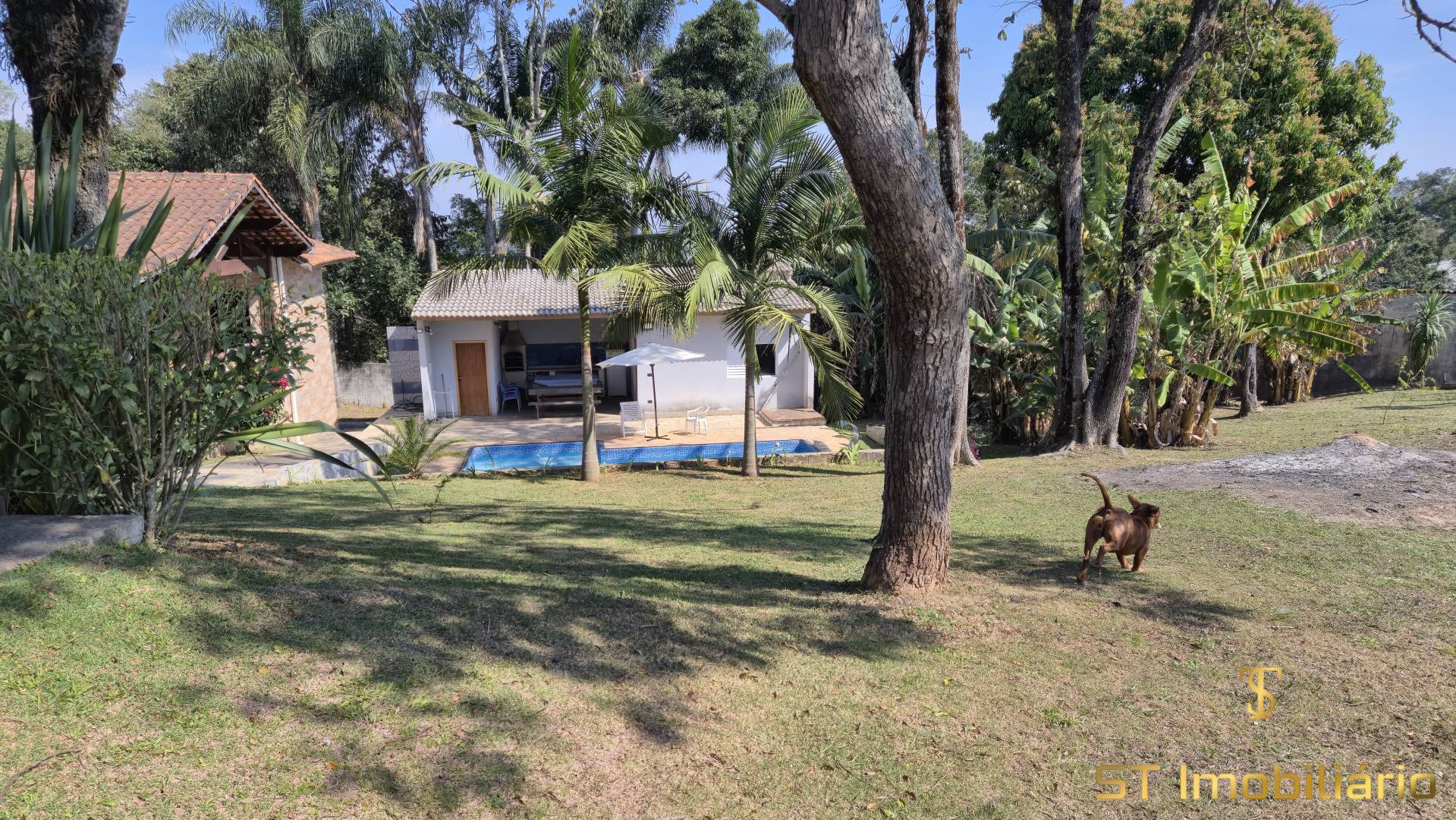 Chácara, 2 quartos, 2475 m² - Foto 8