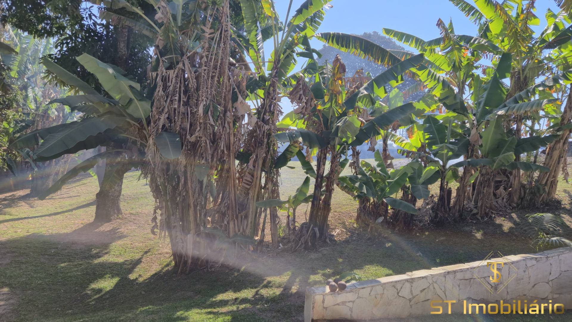 Chácara, 2 quartos, 2475 m² - Foto 23