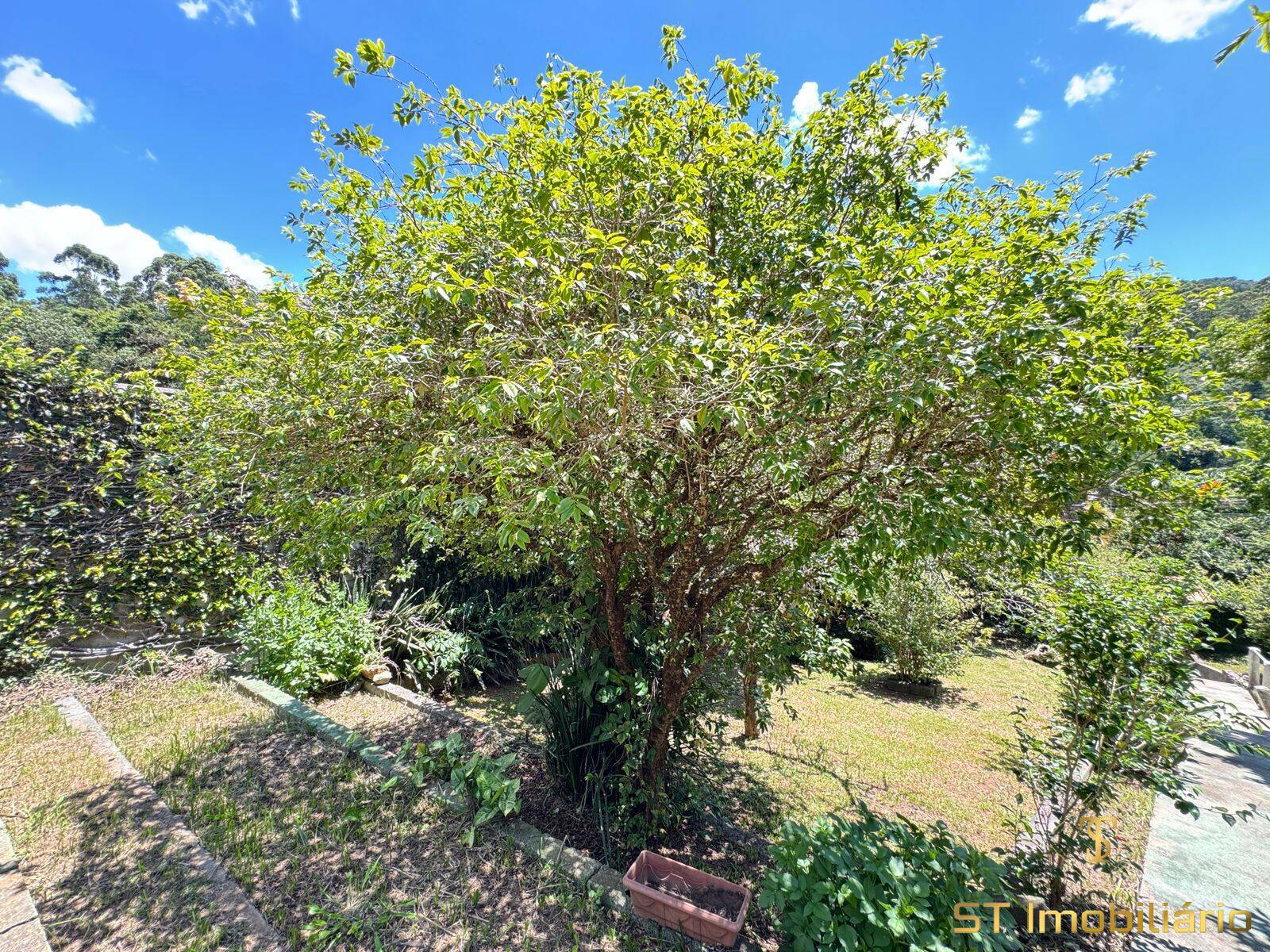 Chácara, 5 quartos, 2000 m² - Foto 5