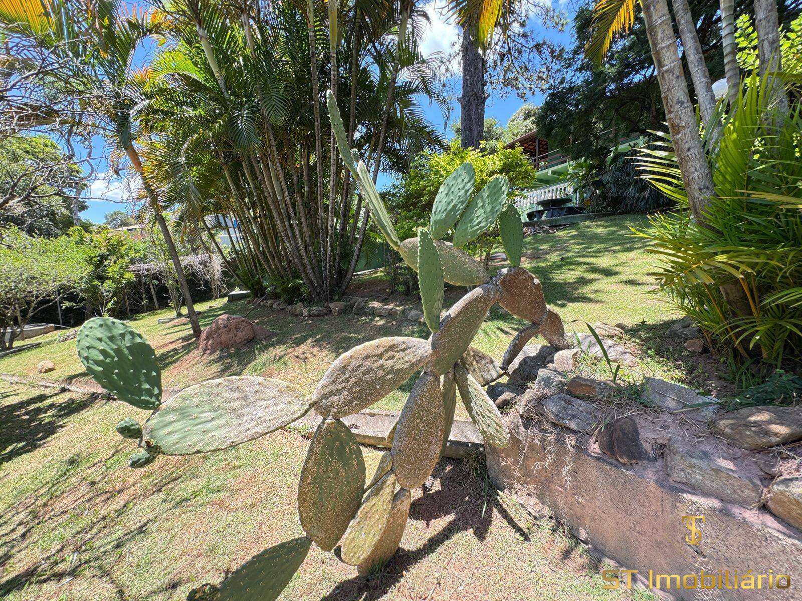 Chácara, 5 quartos, 2000 m² - Foto 25