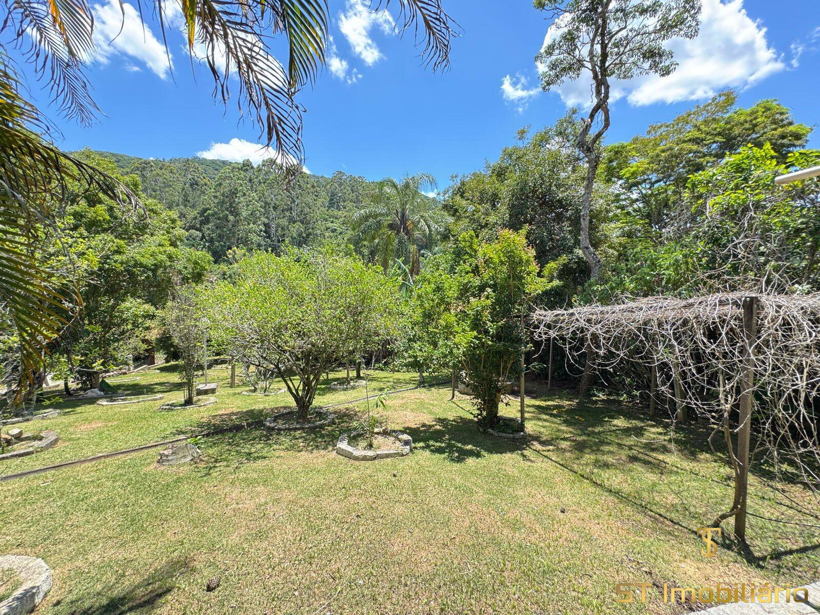 Chácara, 5 quartos, 2000 m² - Foto 24