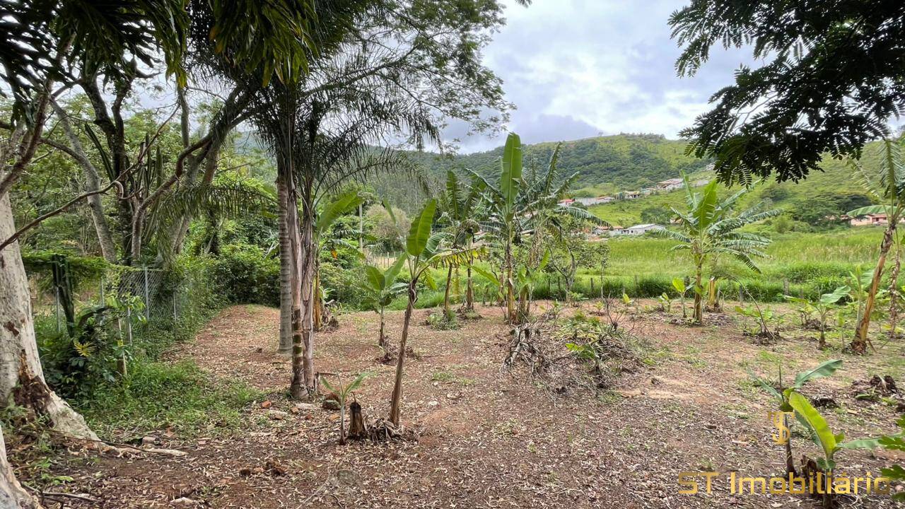 Chácara, 3 quartos, 6000 m² - Foto 39