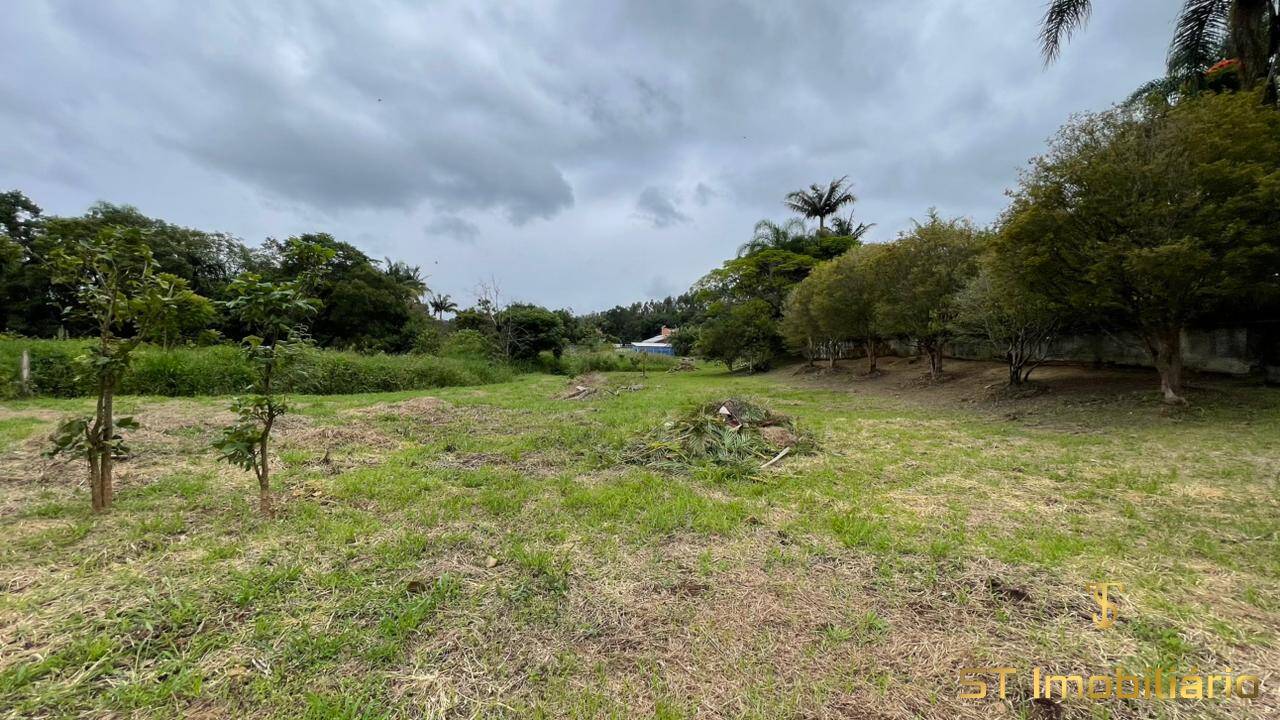 Chácara, 3 quartos, 6000 m² - Foto 4