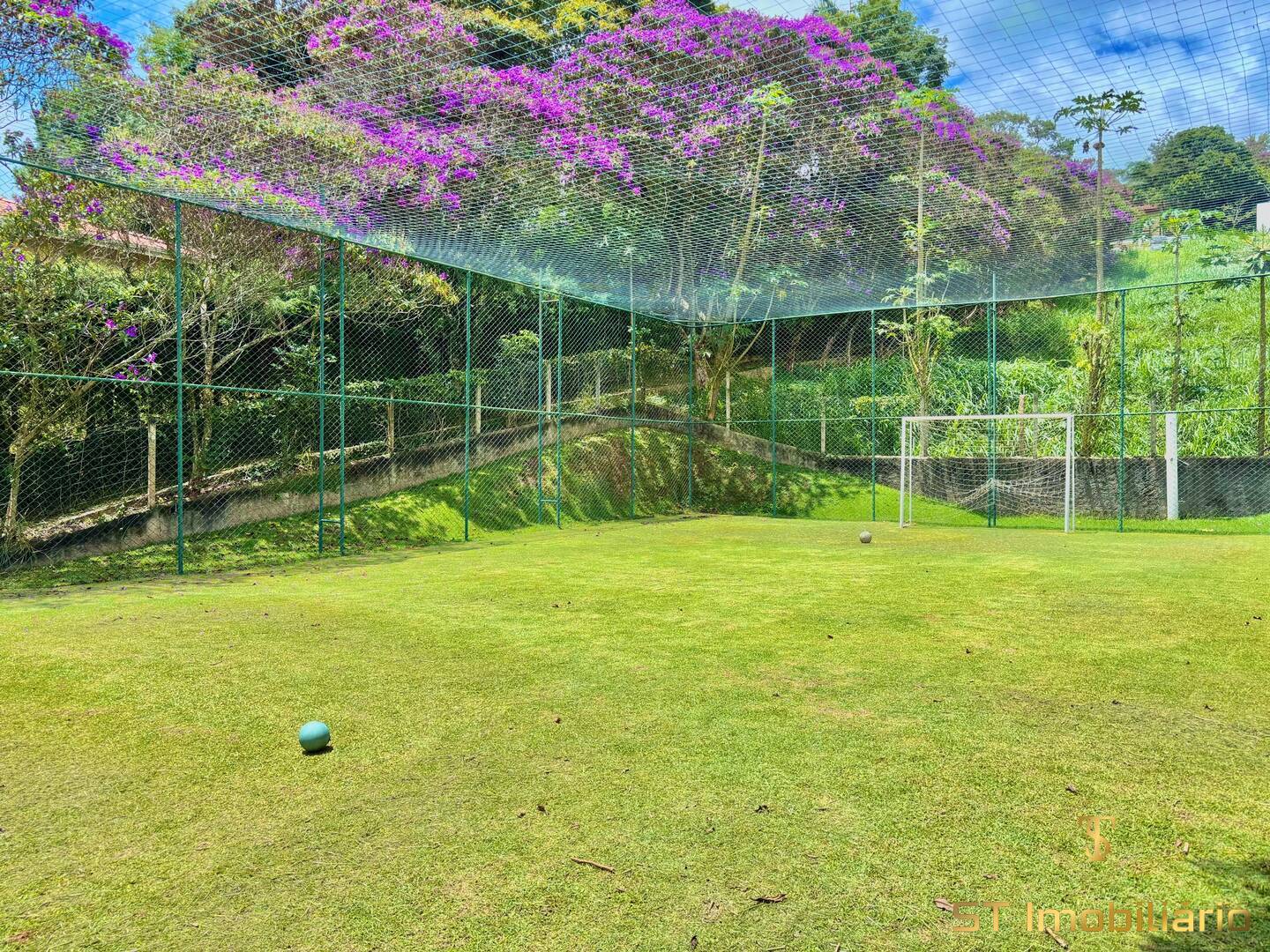 Chácara, 7 quartos, 4326 m² - Foto 7