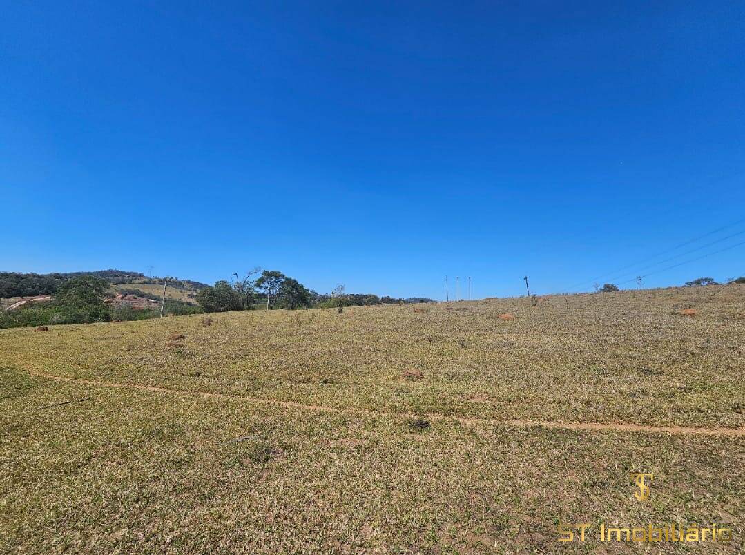 Terreno, 3 hectares - Foto 4
