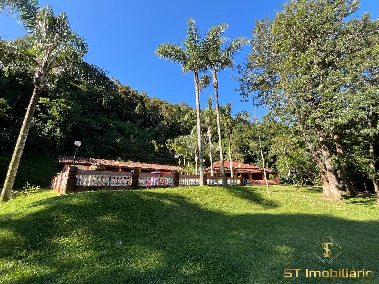 Sítio, 3 quartos, 9000 m² - Foto 8