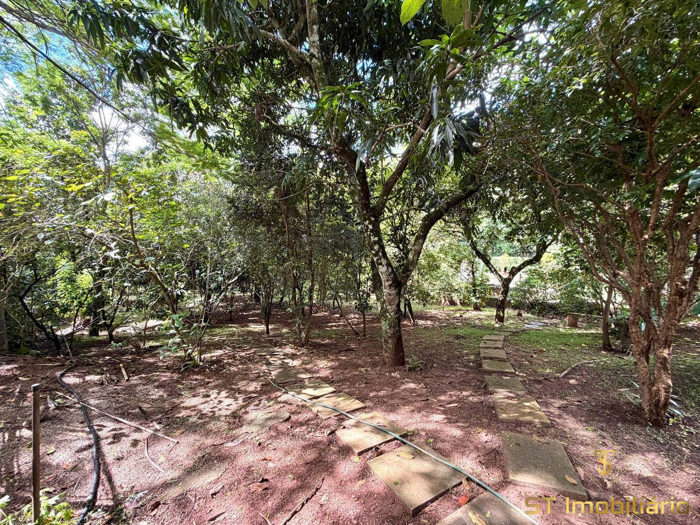 Sítio, 4 quartos, 3828 m² - Foto 23