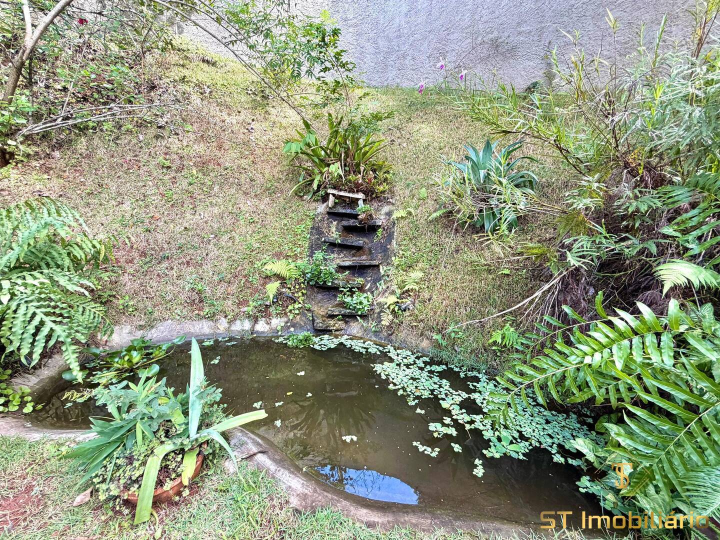 Sítio, 4 quartos, 3828 m² - Foto 5