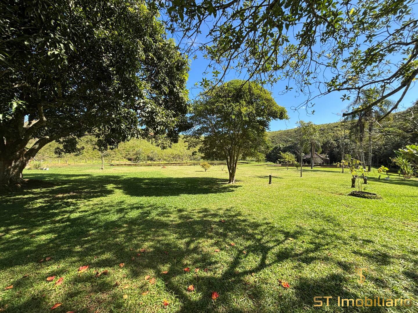 Sítio, 6 quartos, 2 hectares - Foto 6