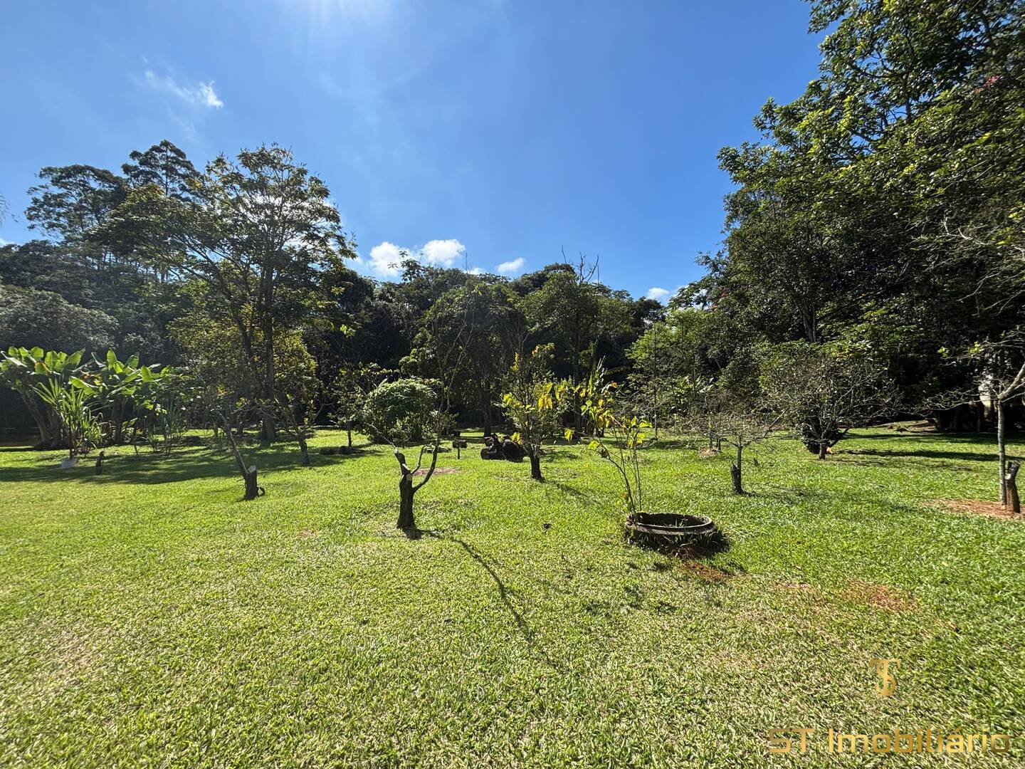 Sítio, 6 quartos, 2 hectares - Foto 20