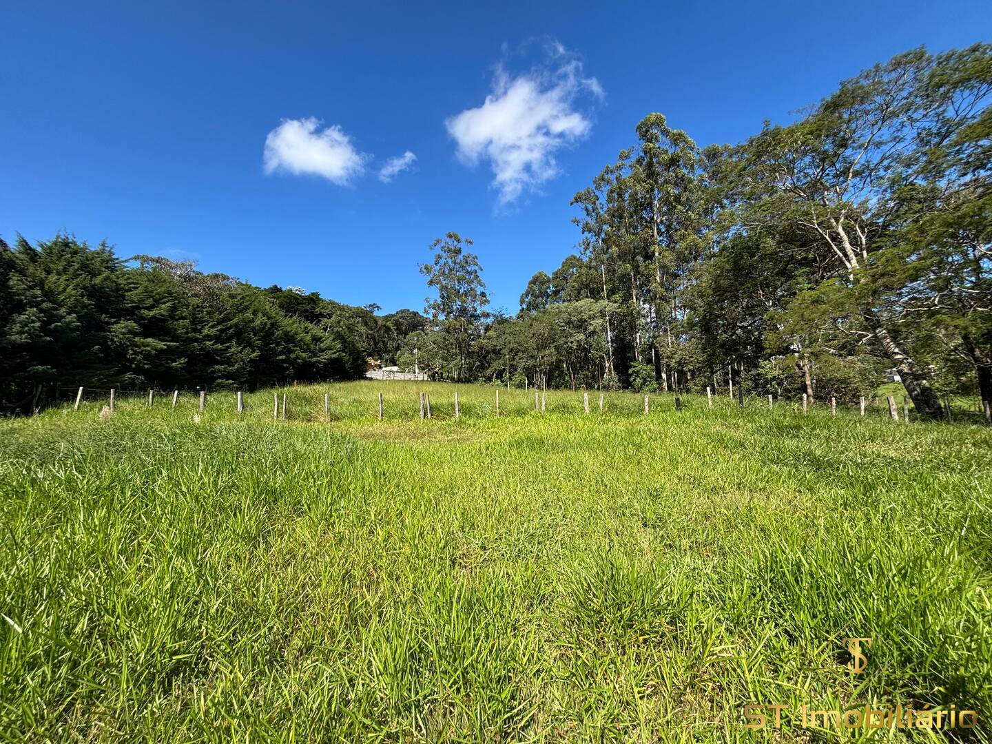 Sítio, 6 quartos, 2 hectares - Foto 17