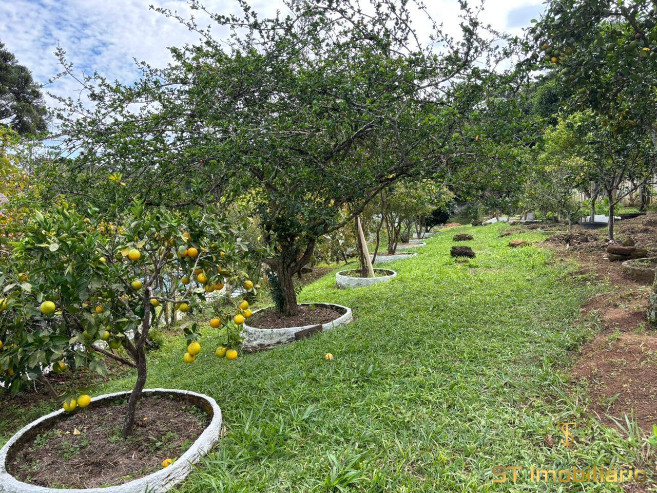 Sítio, 2 quartos, 2500 m² - Foto 26