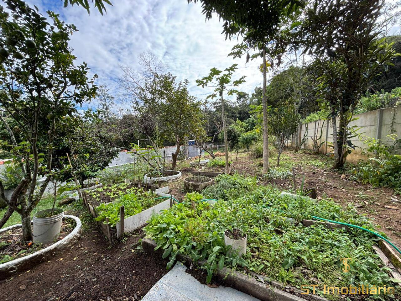 Sítio, 2 quartos, 2500 m² - Foto 34