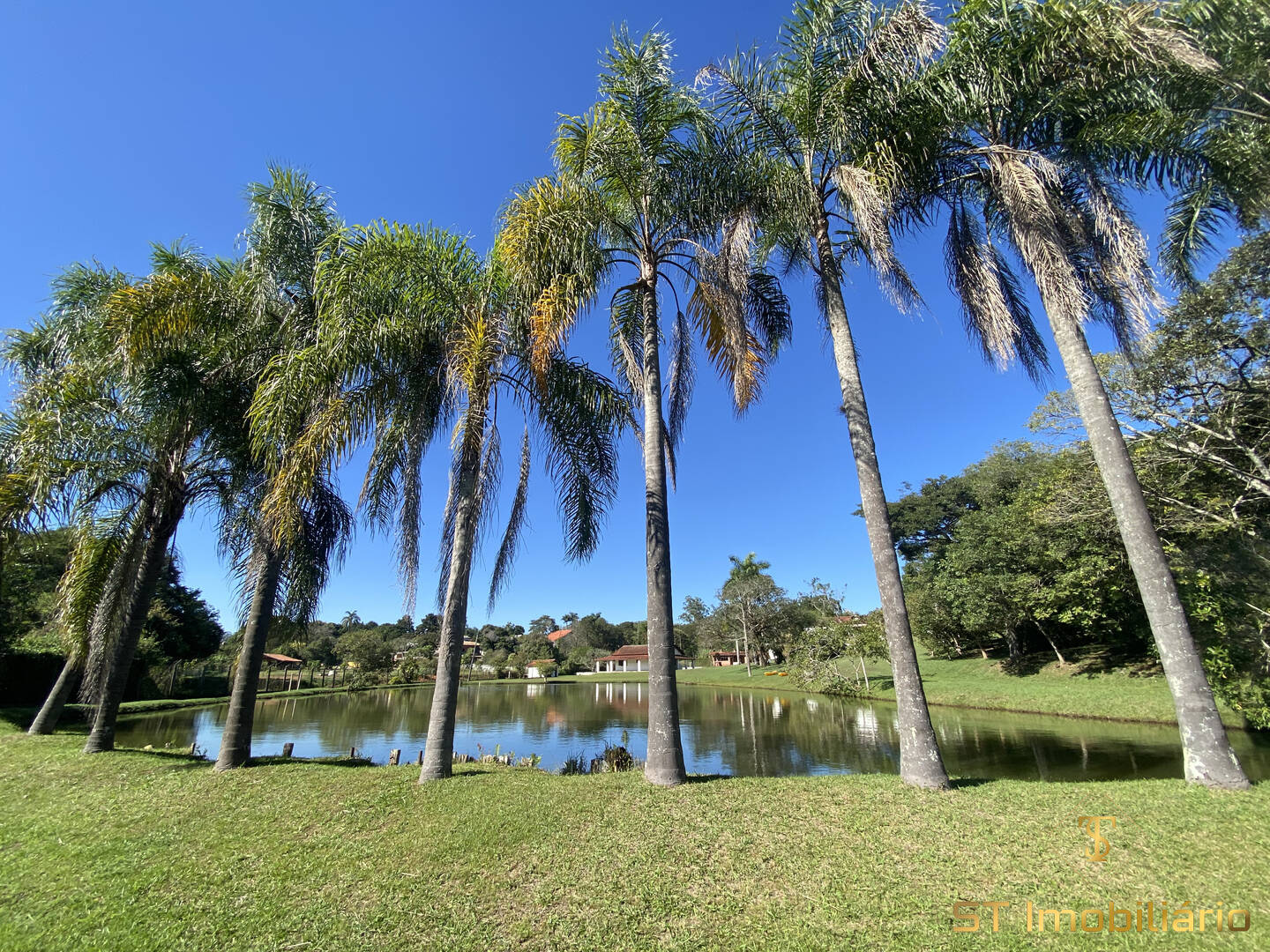 Sítio, 5 quartos, 10000 m² - Foto 36