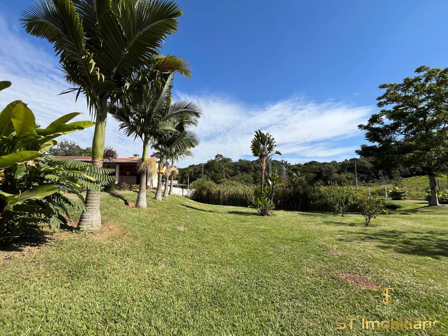 Chácara, 3 quartos, 3092 m² - Foto 5