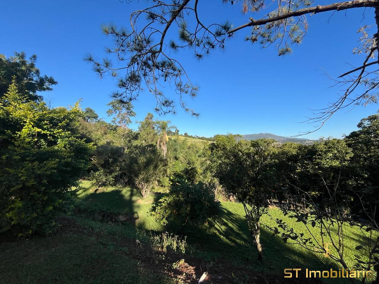 Chácara, 5 quartos, 4000 m² - Foto 4