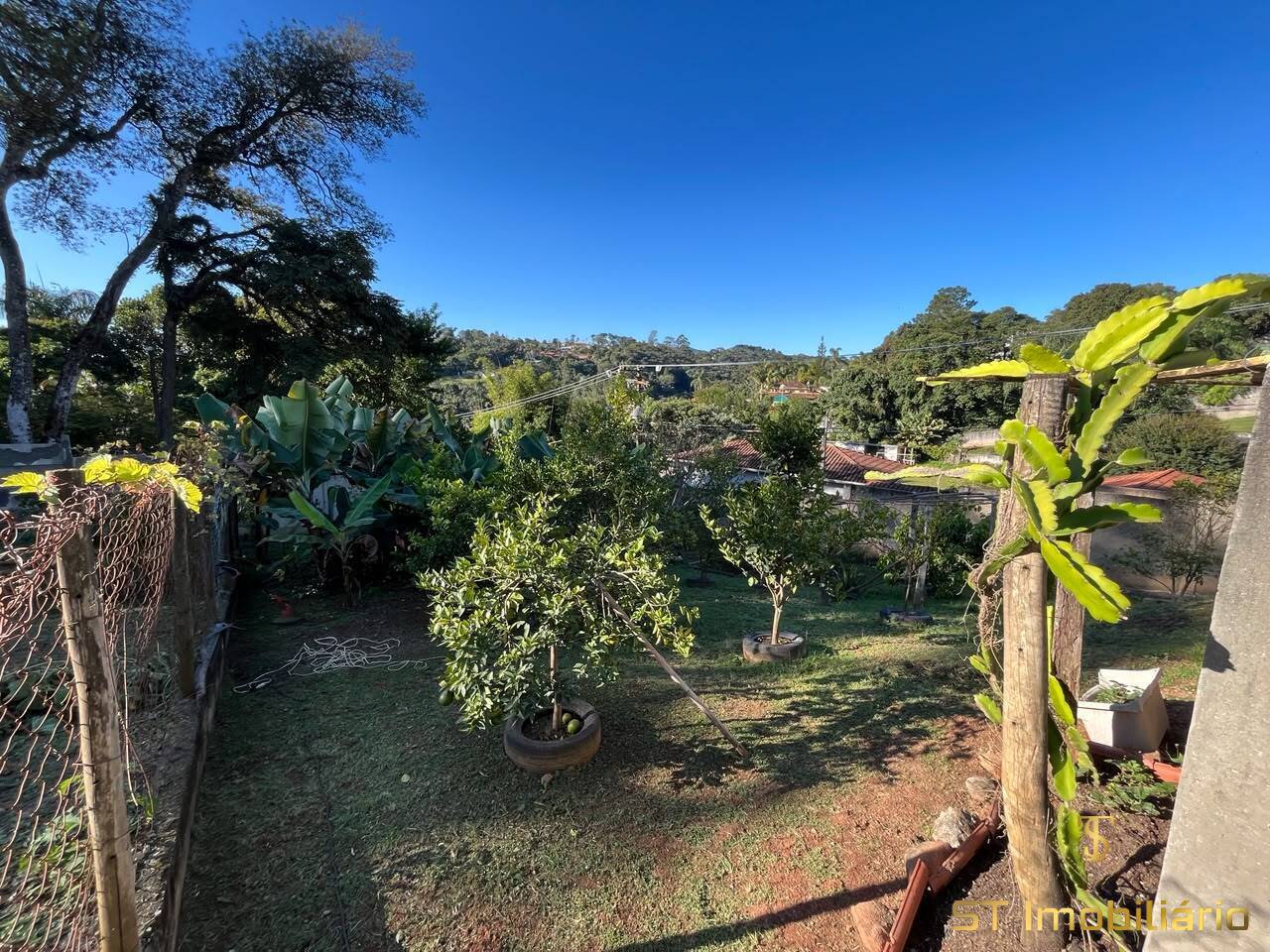 Chácara, 3 quartos, 1000 m² - Foto 6