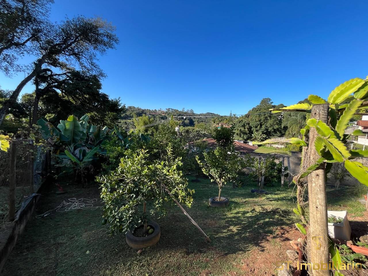 Chácara, 3 quartos, 1000 m² - Foto 10