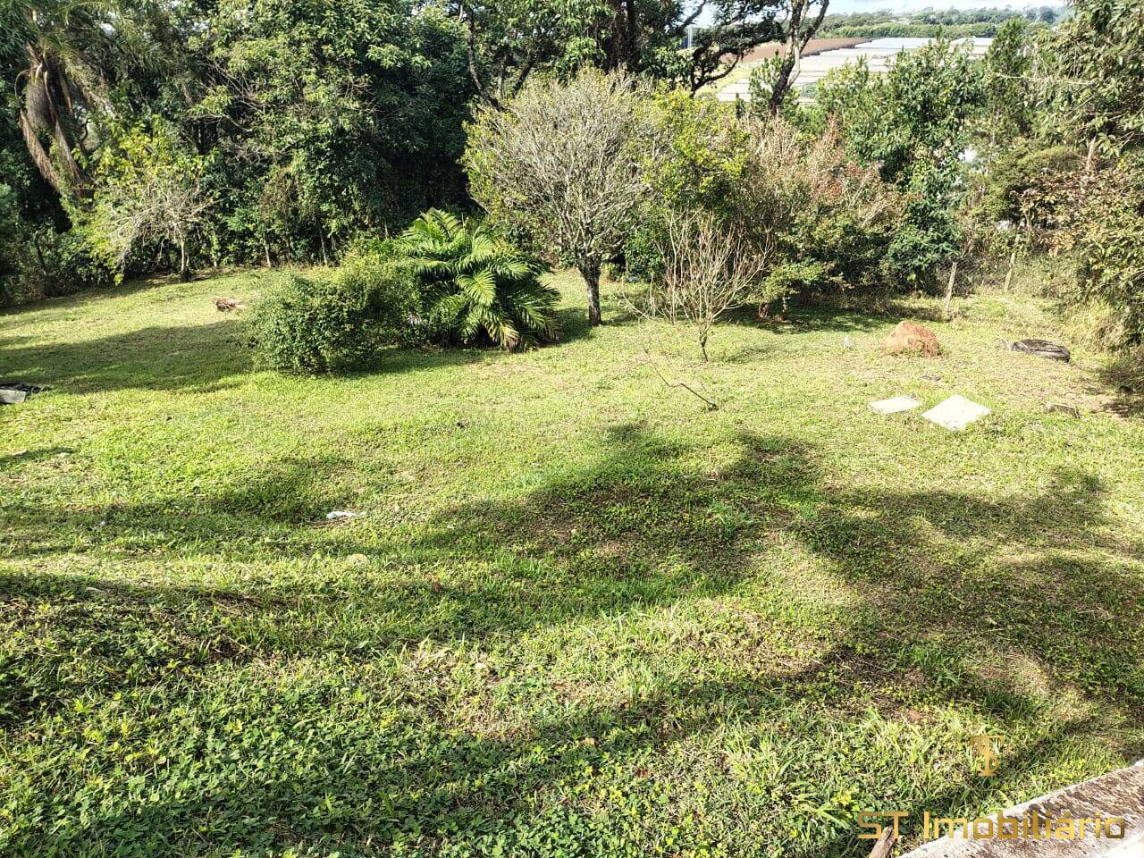 Chácara, 2 quartos, 1270 m² - Foto 10